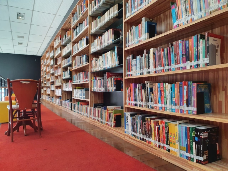 Noticia biblioteca-faz-mutirao-de-regularizacao-de-cadastros-e-emprestimos